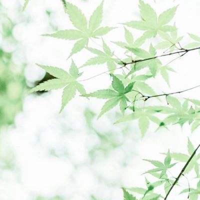 魔天战纪破解版下载